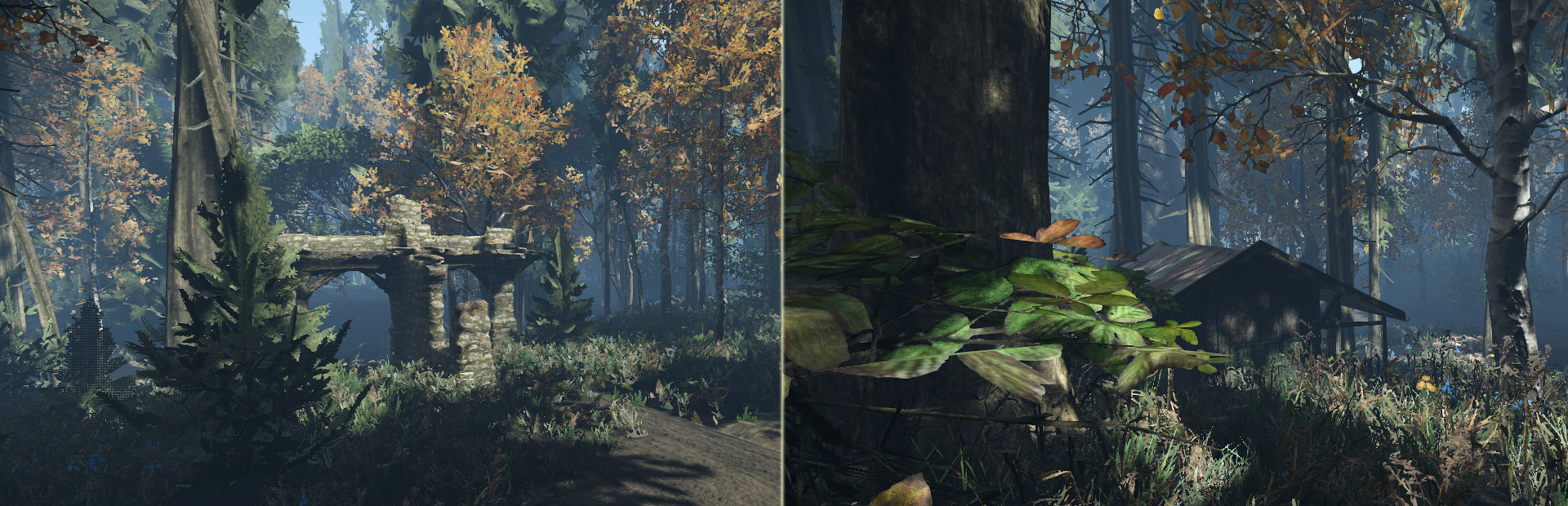 Duty in Forest cover art