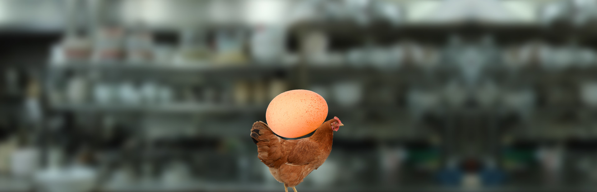 egg is broken. heart is too. cover art