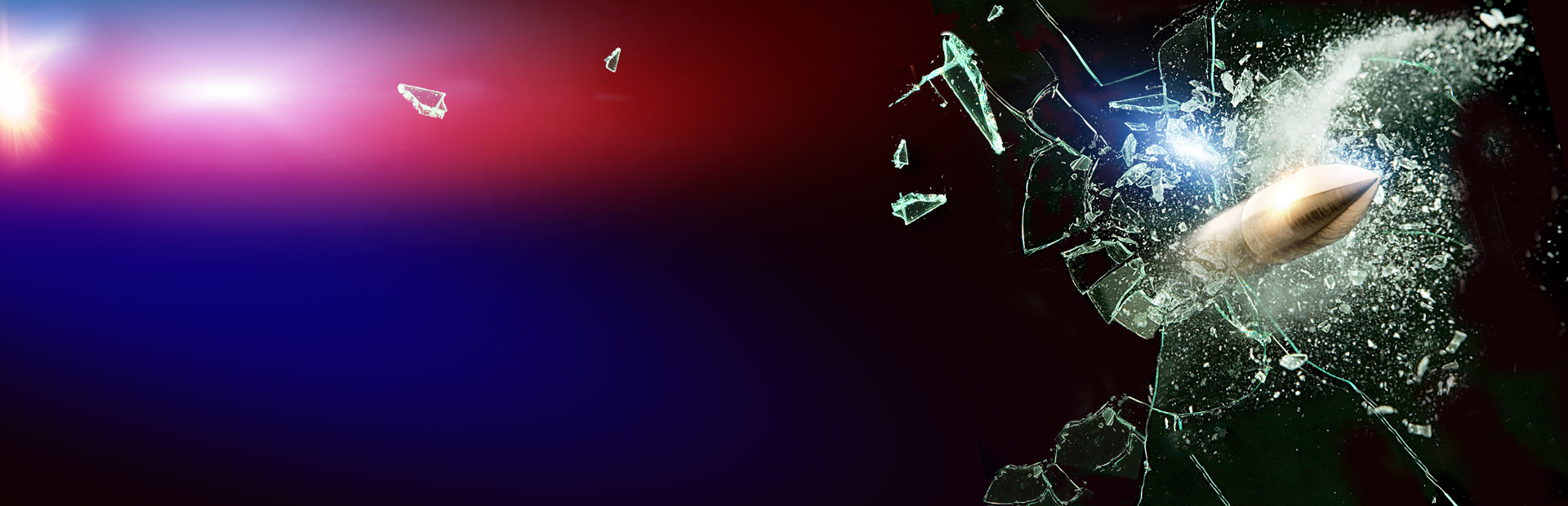 Enforcer: Police Crime Action cover art