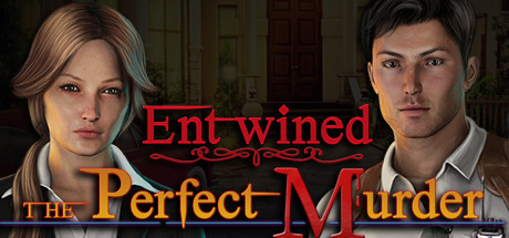 Entwined: The Perfect Murder cover art