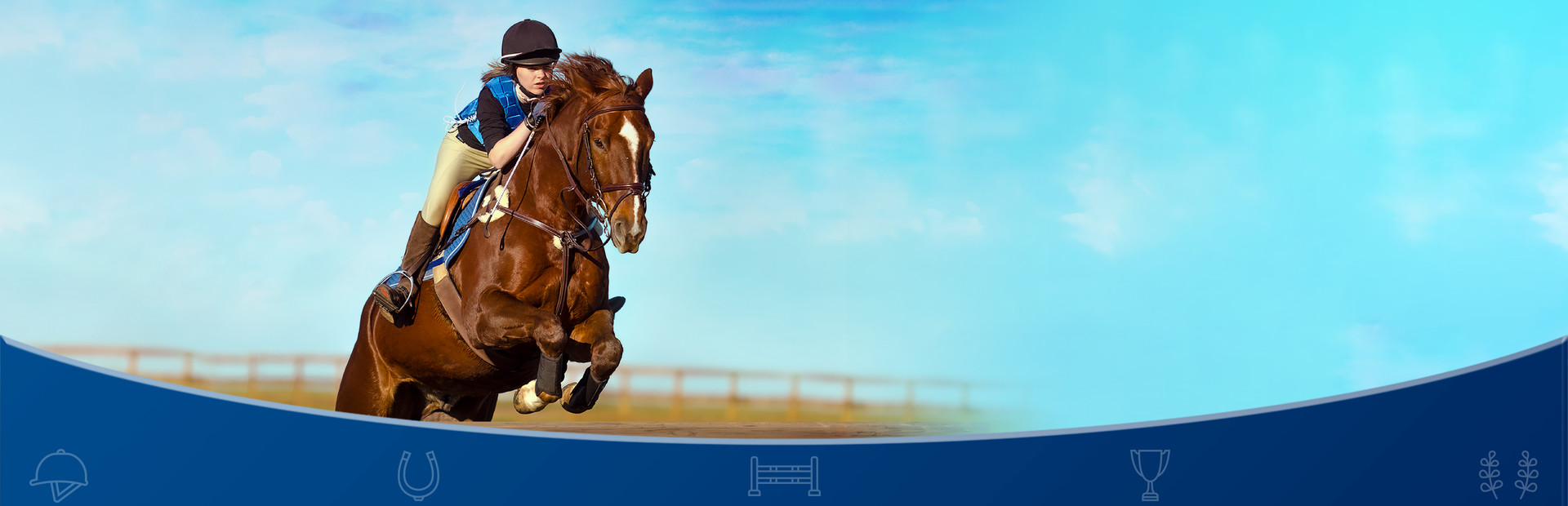 Equestrian Training cover art