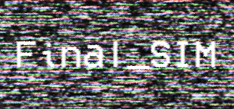 Final_SIM cover art