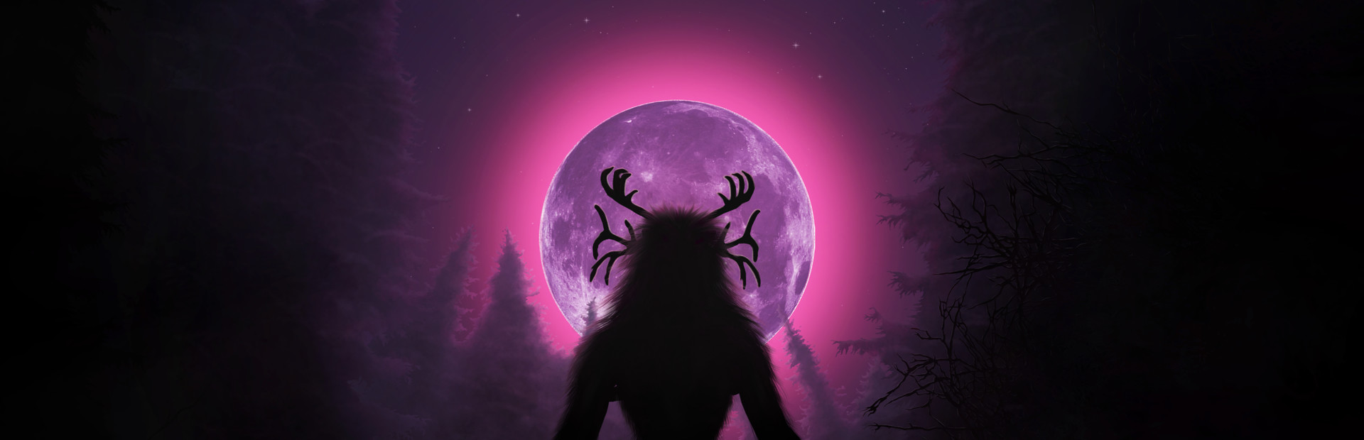 Finsterwald cover art