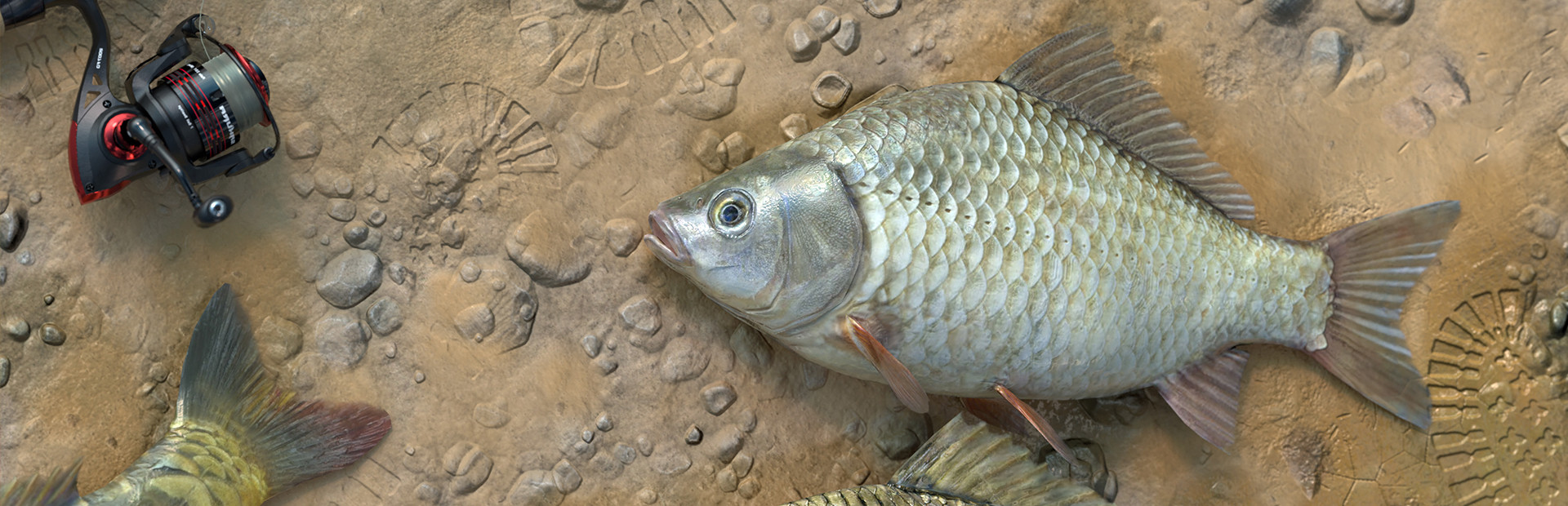 Fishing Adventure cover art