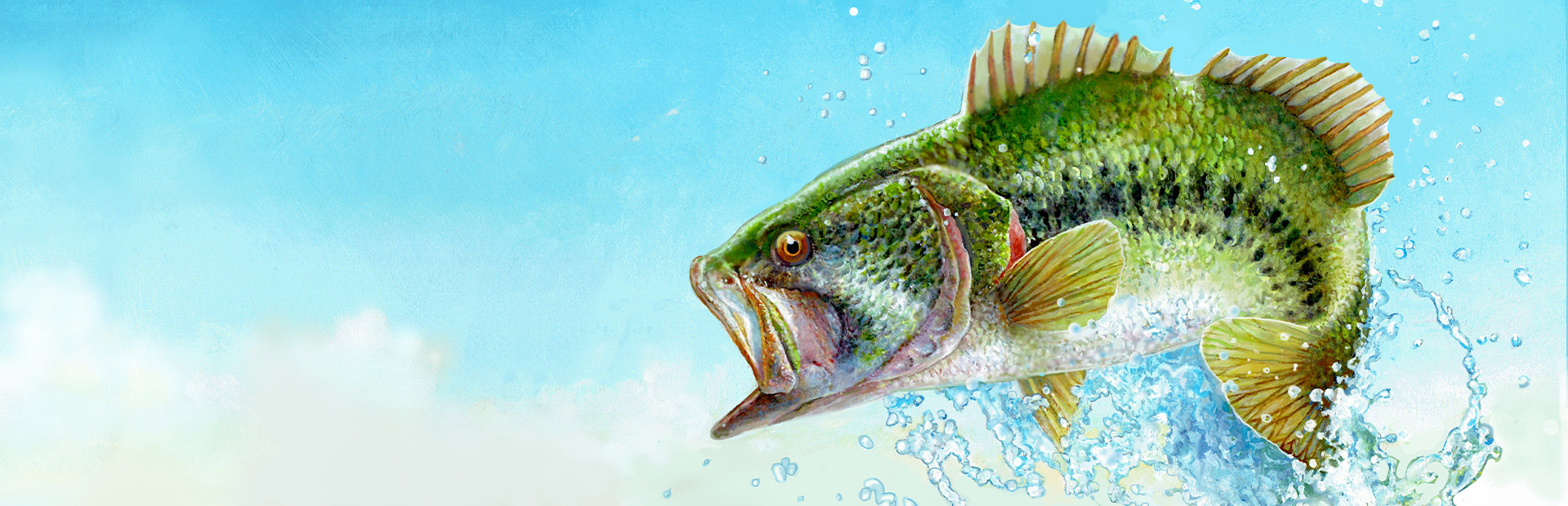 Fishing Sim World®: Bass Pro Shops Edition cover art