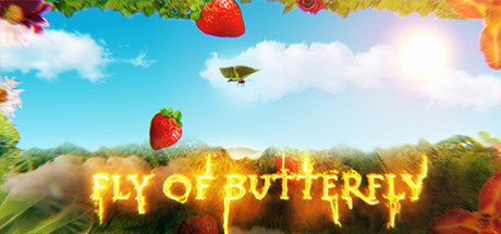 Fly of butterfly cover art