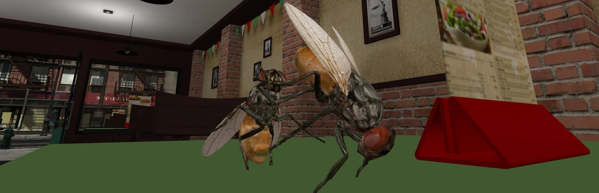 Fly Simulator cover art