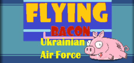 Flying Bacon: Ukrainian Air Force cover art