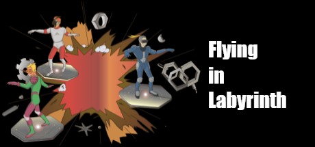 Flying in Labyrinth cover art