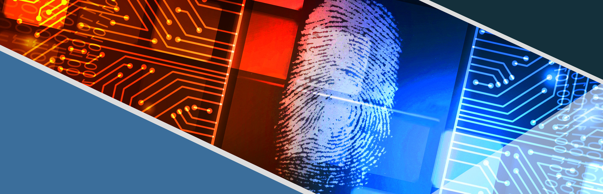 Forensic EduSim cover art