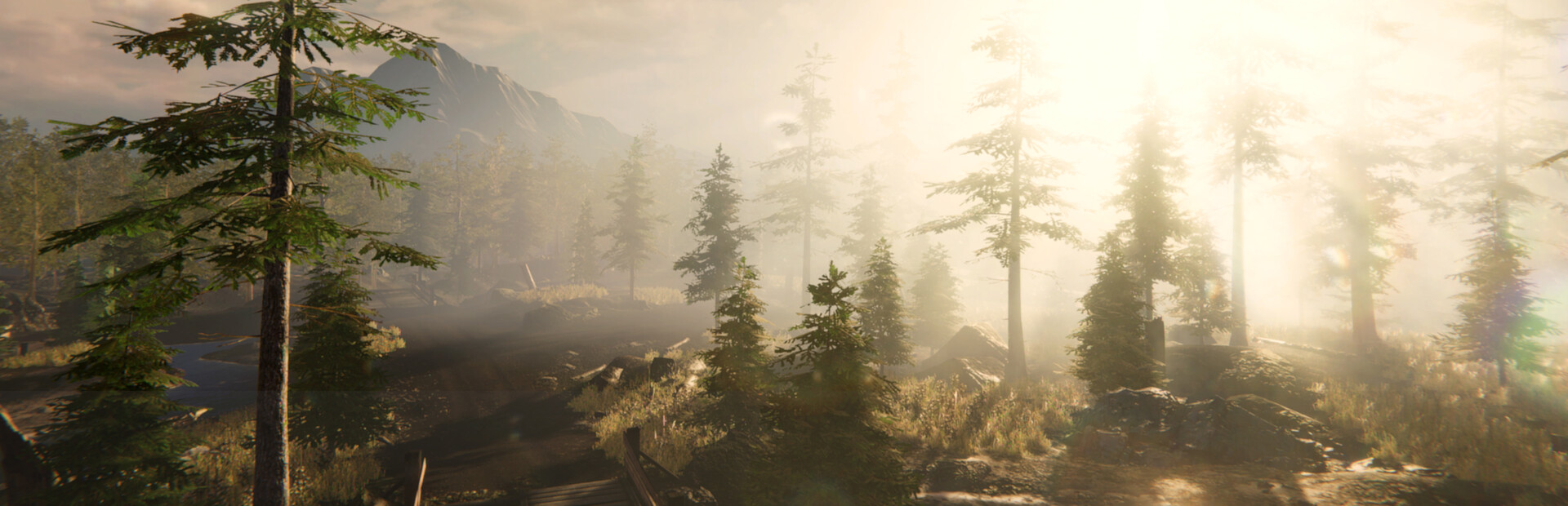 Forest Ranger Simulator cover art