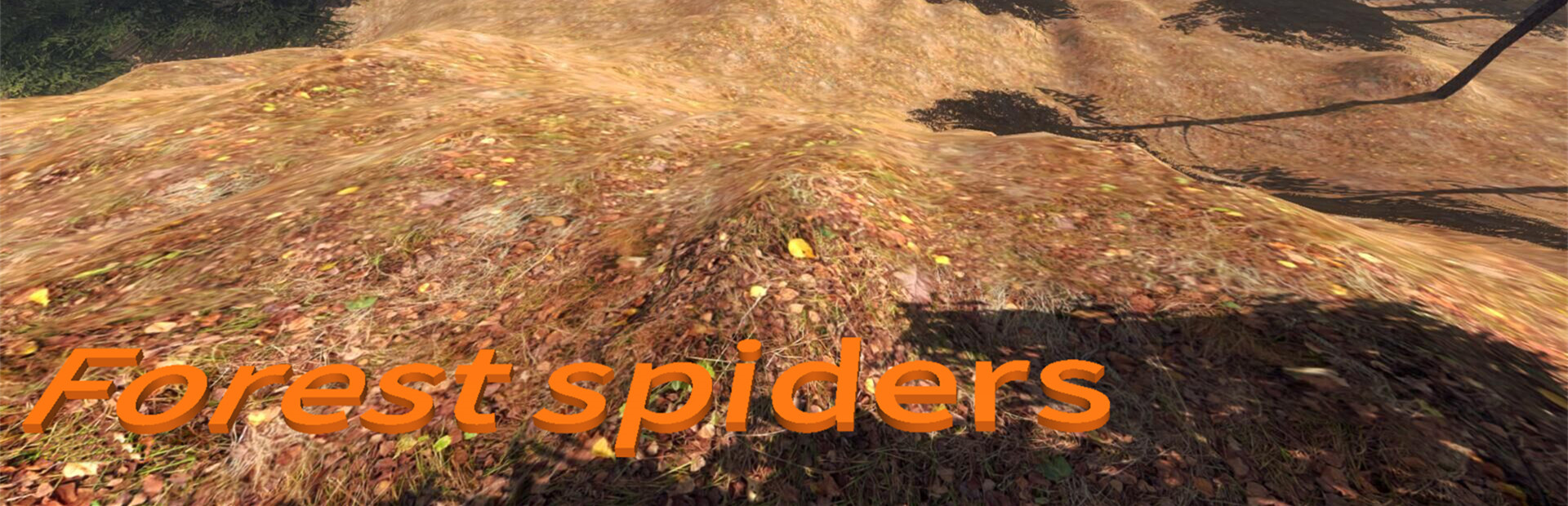 Forest spiders cover art
