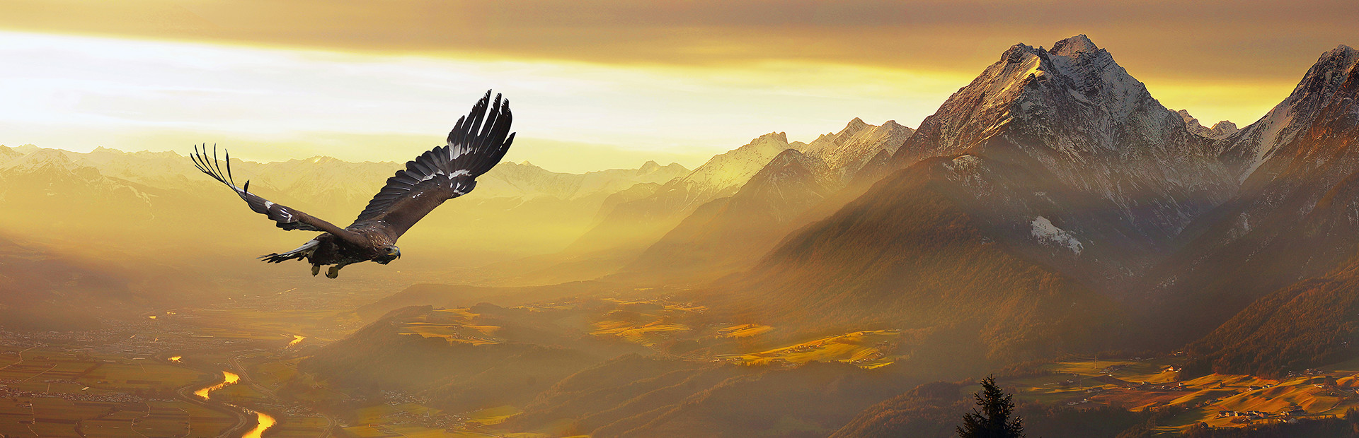 FREEDOM: Hunt Kill Fly cover art