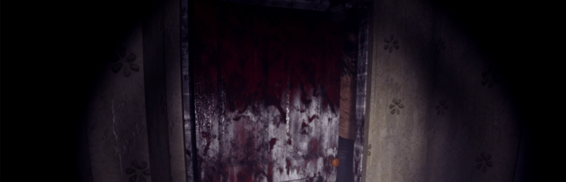 From the darkness cover art