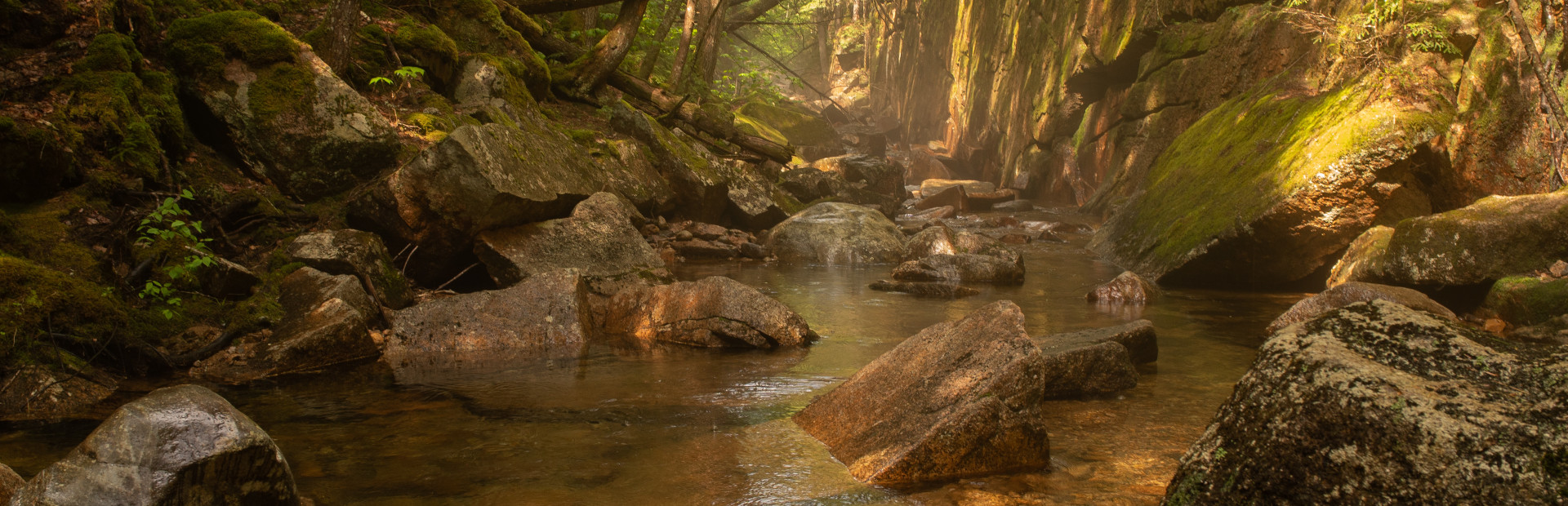 Get Lost With Luke In Nature cover art