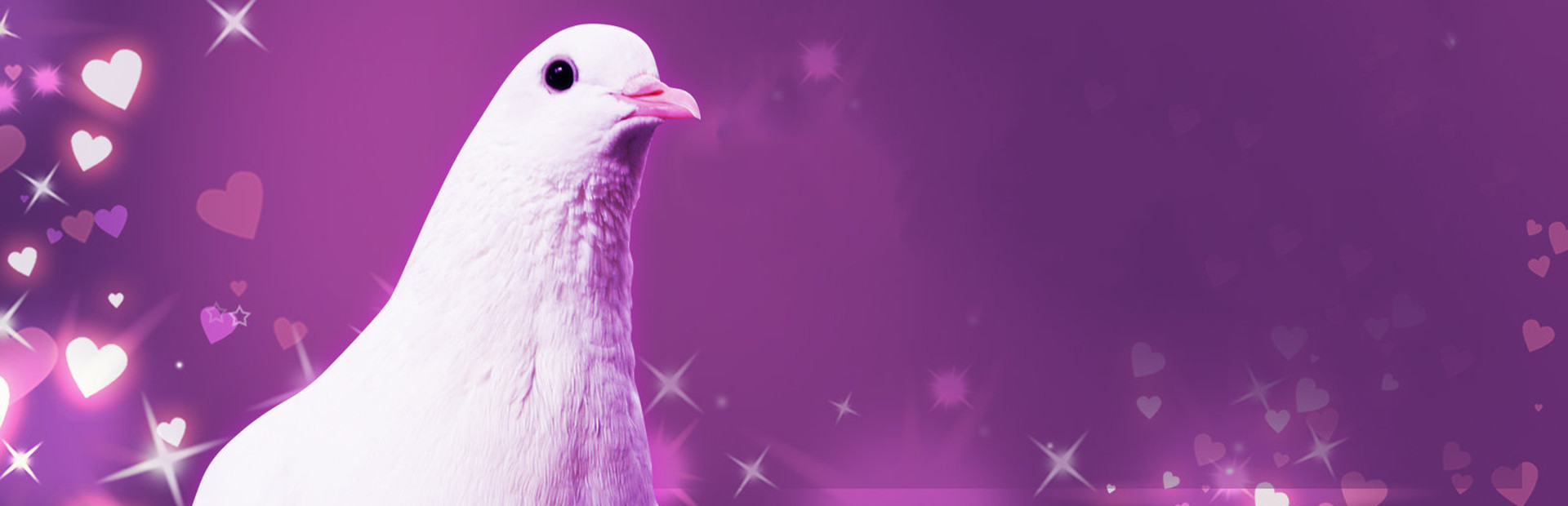 Hatoful Boyfriend cover art