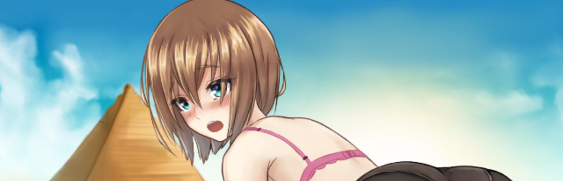 Hentai Shooter 2: World Tour cover art