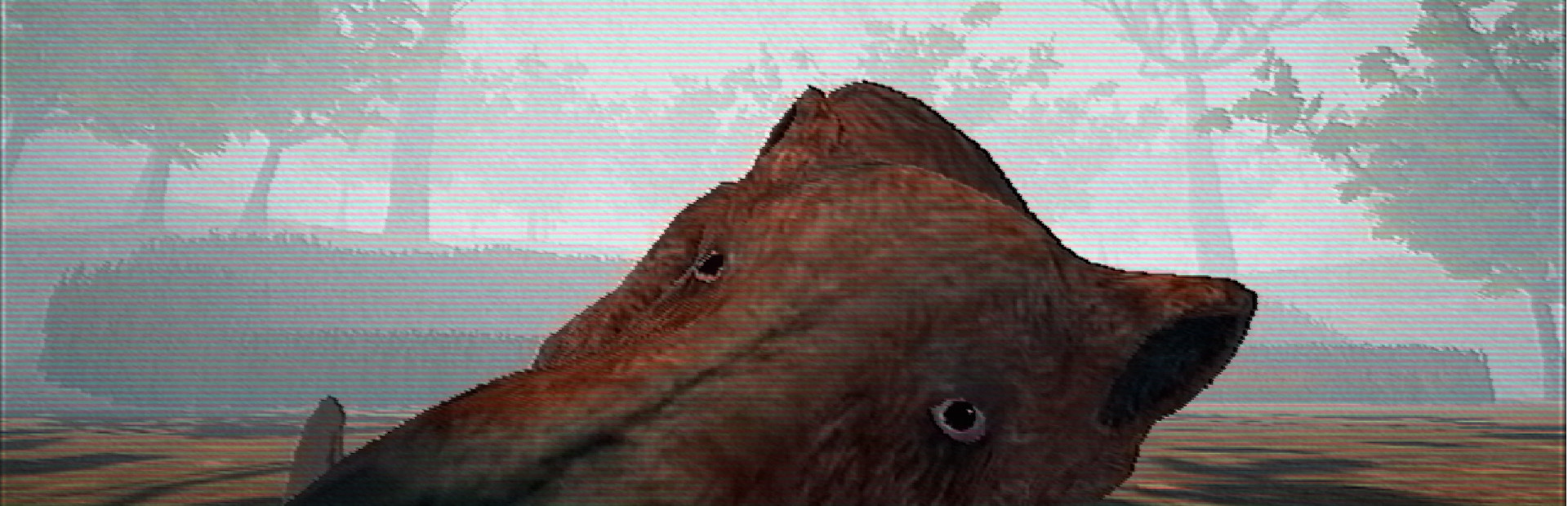 Hog Hunter 2021 cover art