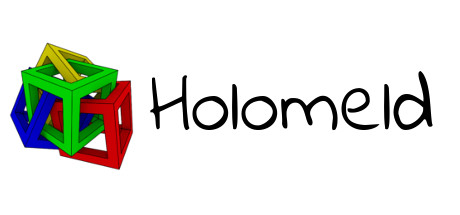 HoloMeld cover art
