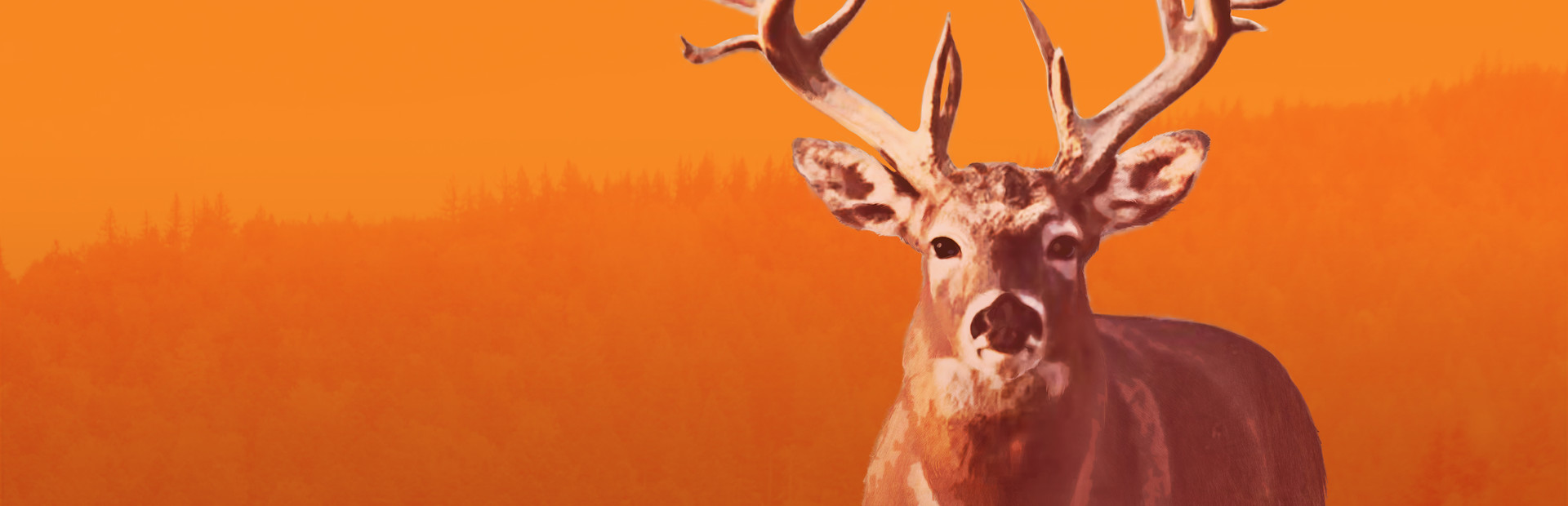 Hunting Unlimited 3 cover art