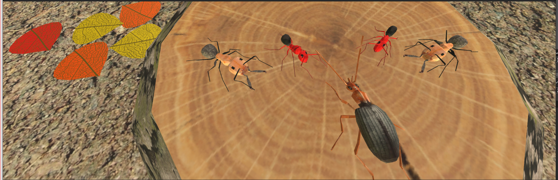 Insect: Bombardier beetle cover art