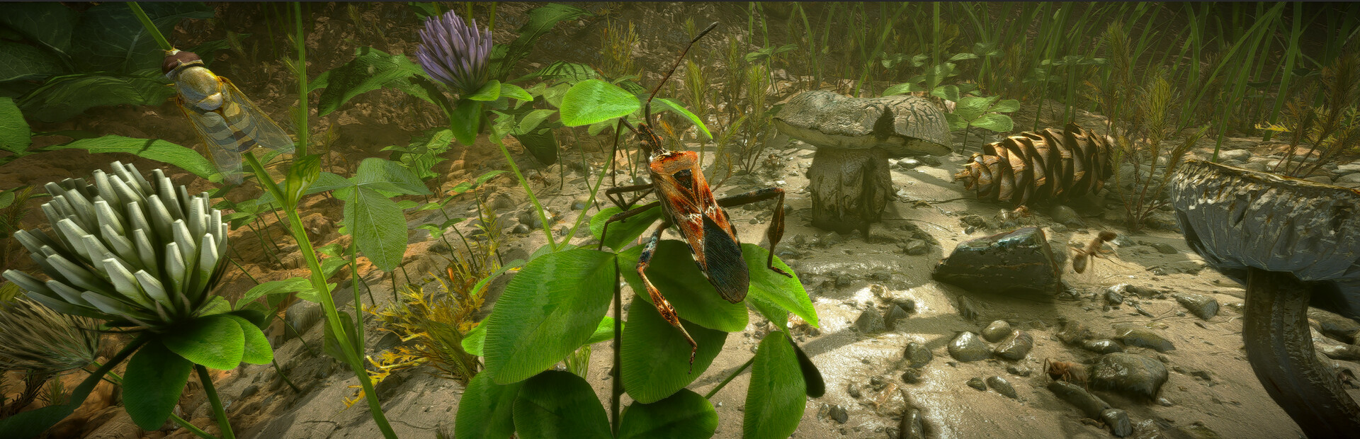 Insect Worlds cover art
