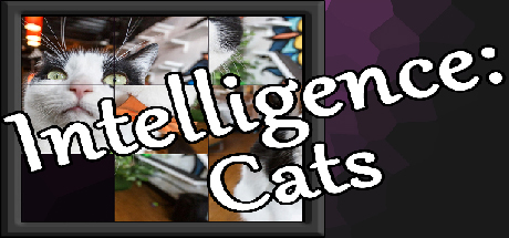 Intelligence: Cats cover art