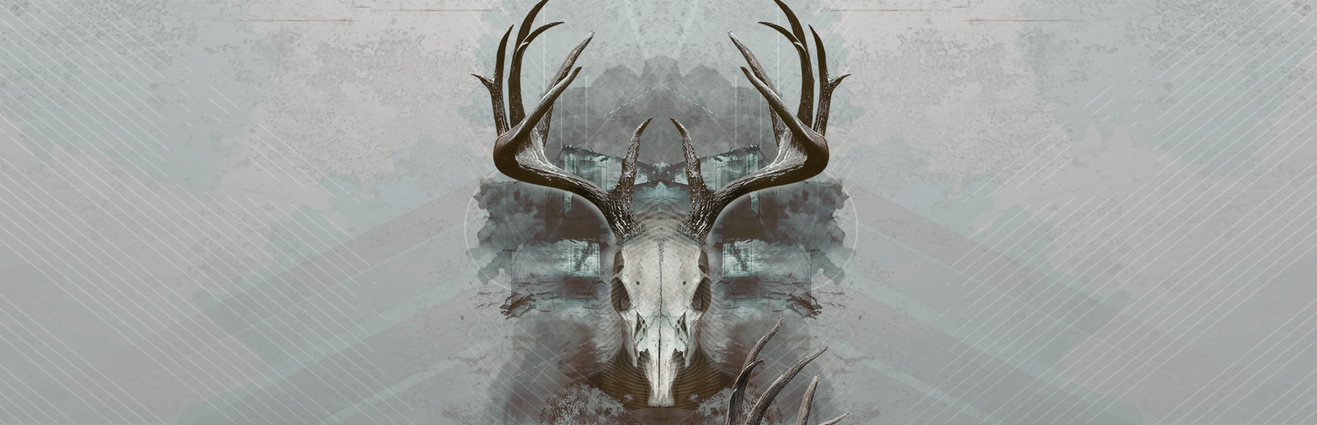 Intruders: Hide and Seek cover art