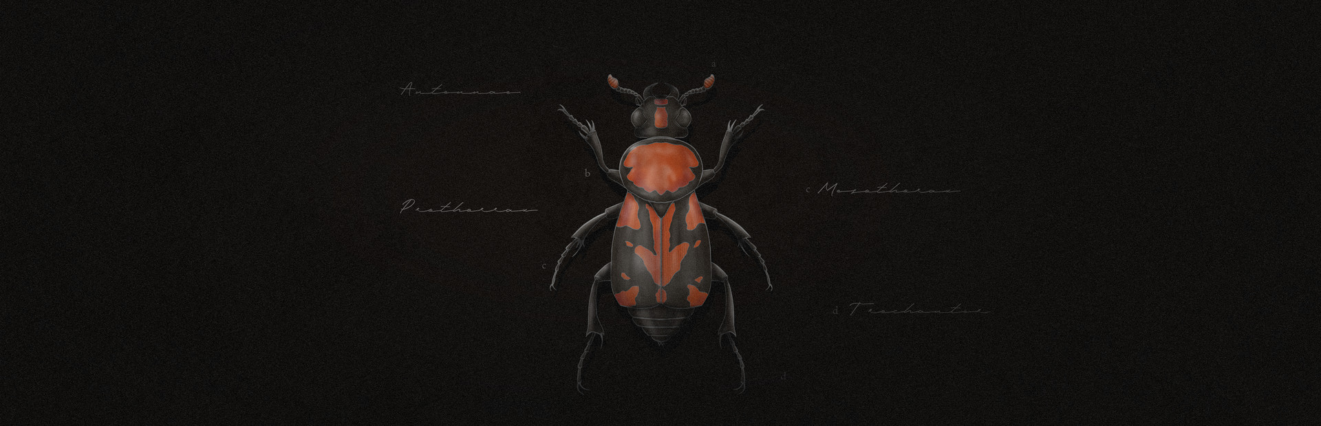 Korpus: Buried over the Black Soil cover art