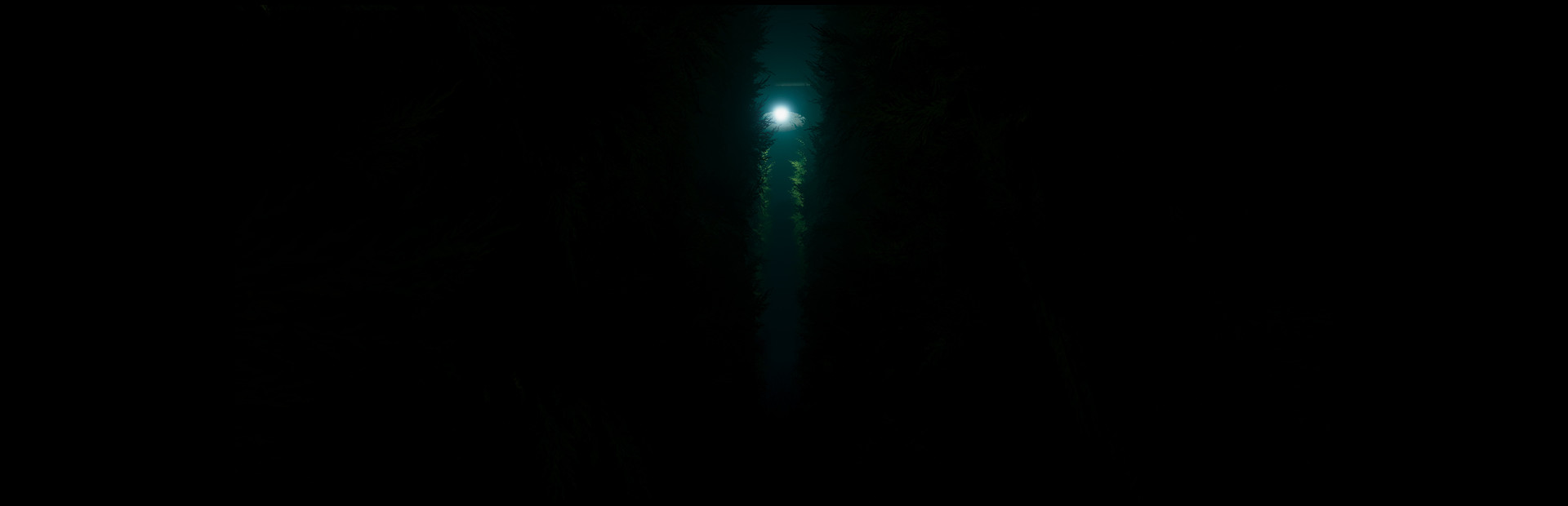 Labyrinthine cover art