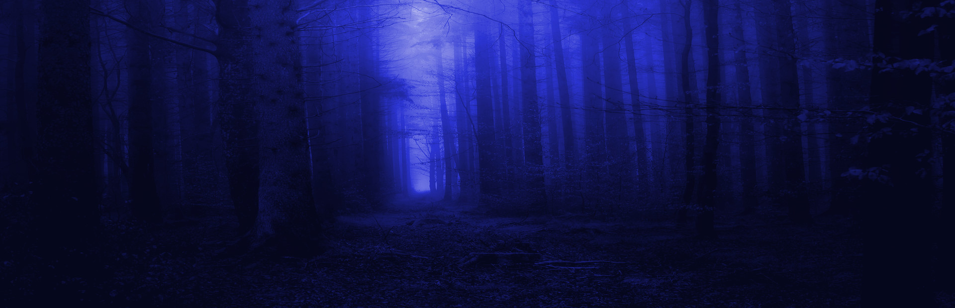 Last Visit cover art
