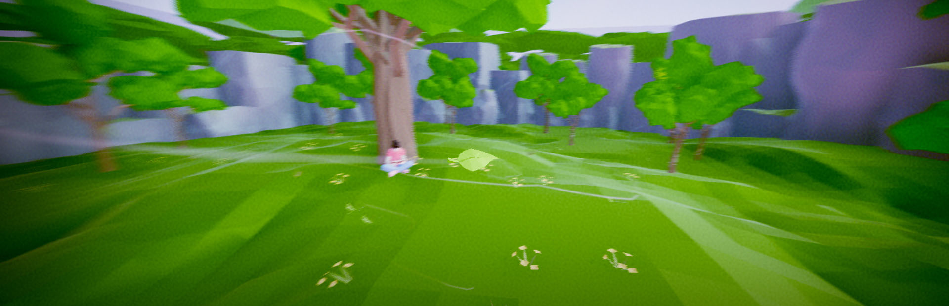 Leaf on Wind cover art