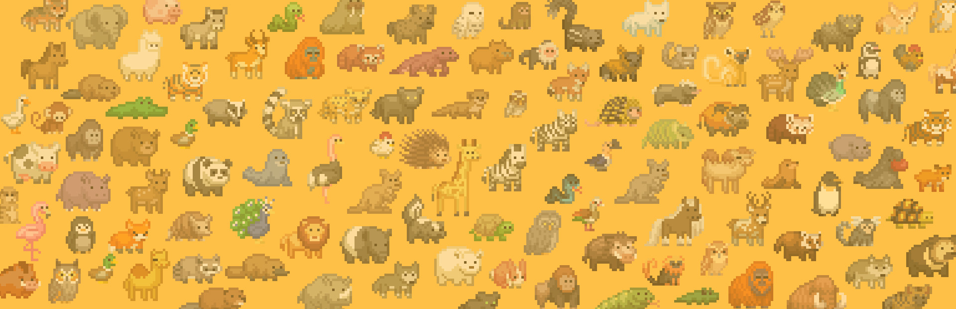 Let's Build a Zoo cover art