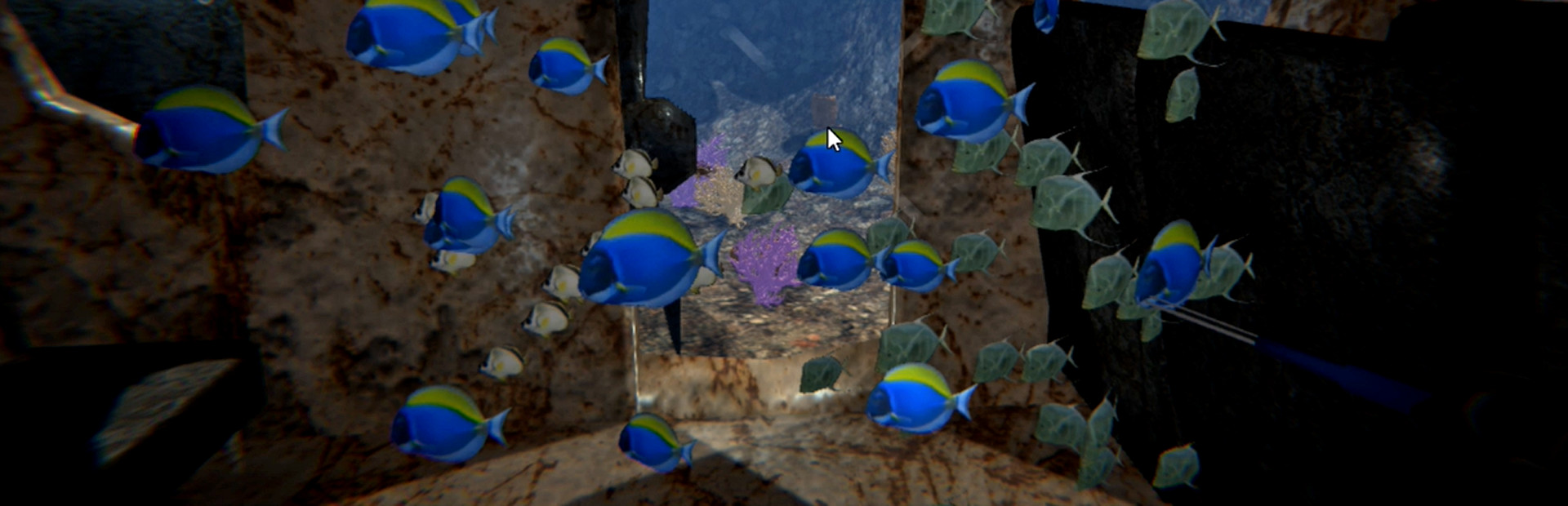 Lionfish Reef Patrol cover art