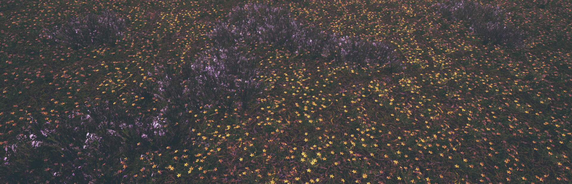 Loverowind cover art