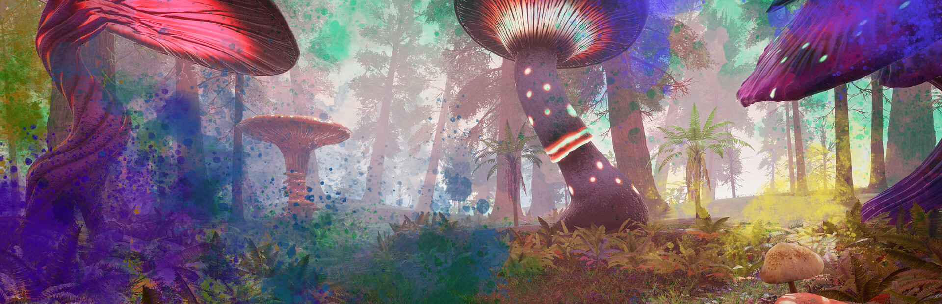 Lucid Cycle cover art