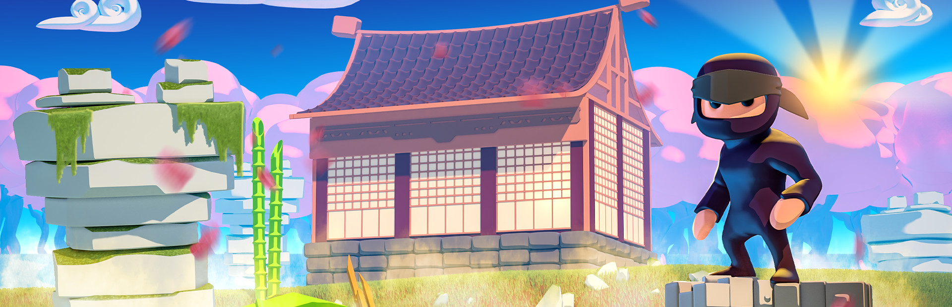 Mad Dojo cover art
