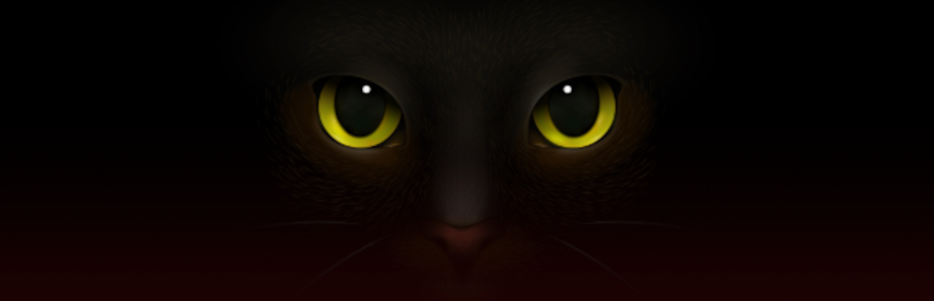 Marcella Moon: Curse of the Black Cat cover art