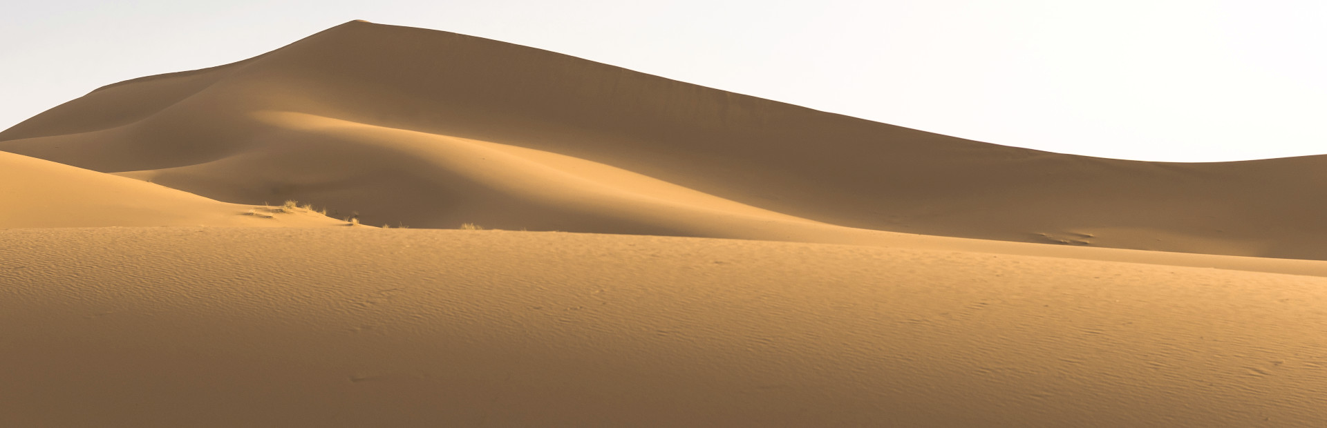 Maze Quest 2: The Desert cover art