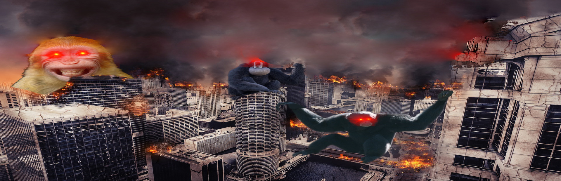 Monkey Doomsday cover art