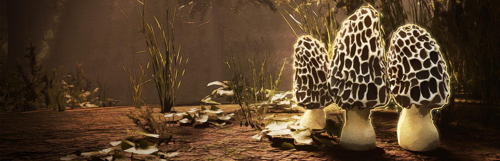 Morels: The Hunt cover art