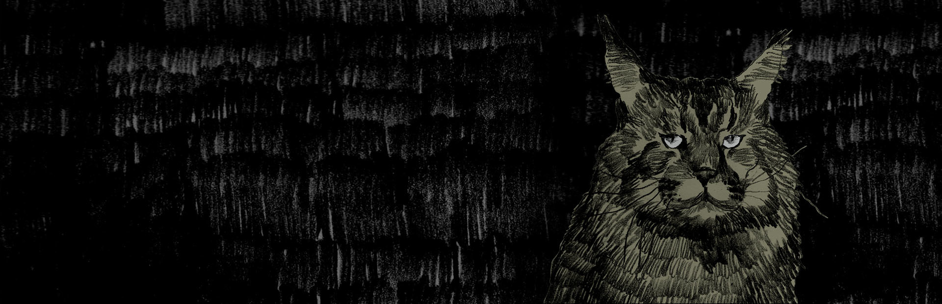 Morok cover art
