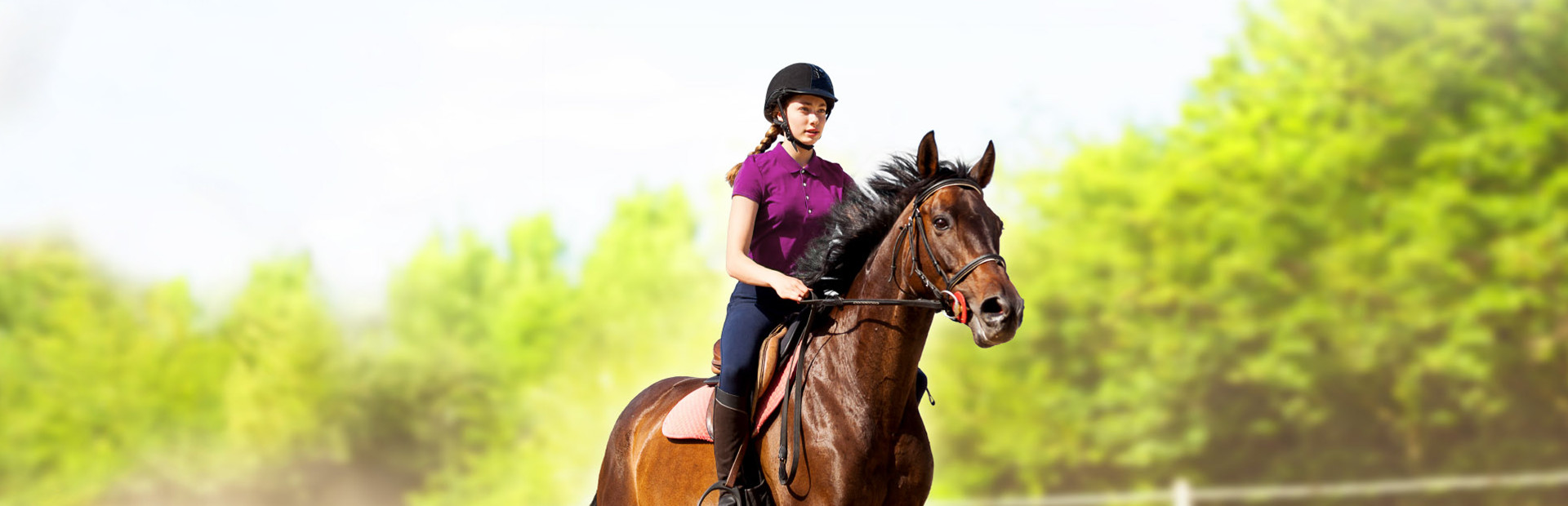 My Little Riding Champion cover art