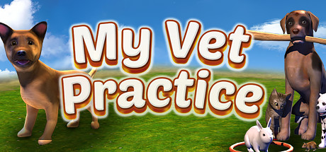 My Vet Practice cover art