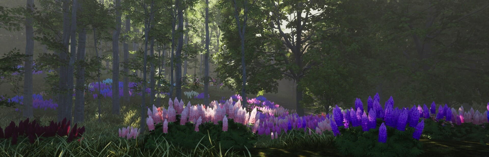Nature Hunter cover art