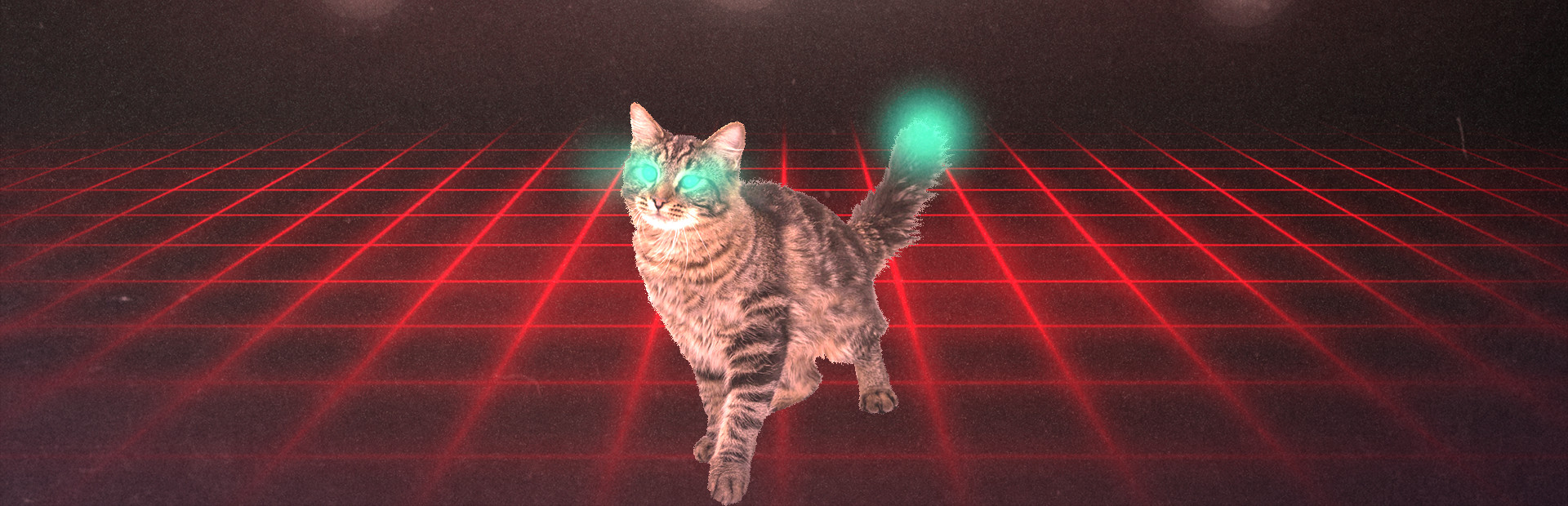 Neon Cyborg Cat Club cover art