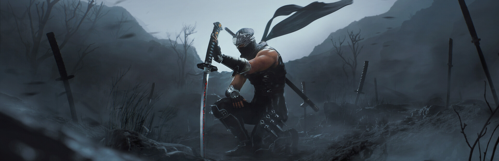 Ninja Gaiden 2 Black cover art