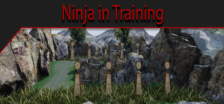 Ninja in Training cover art
