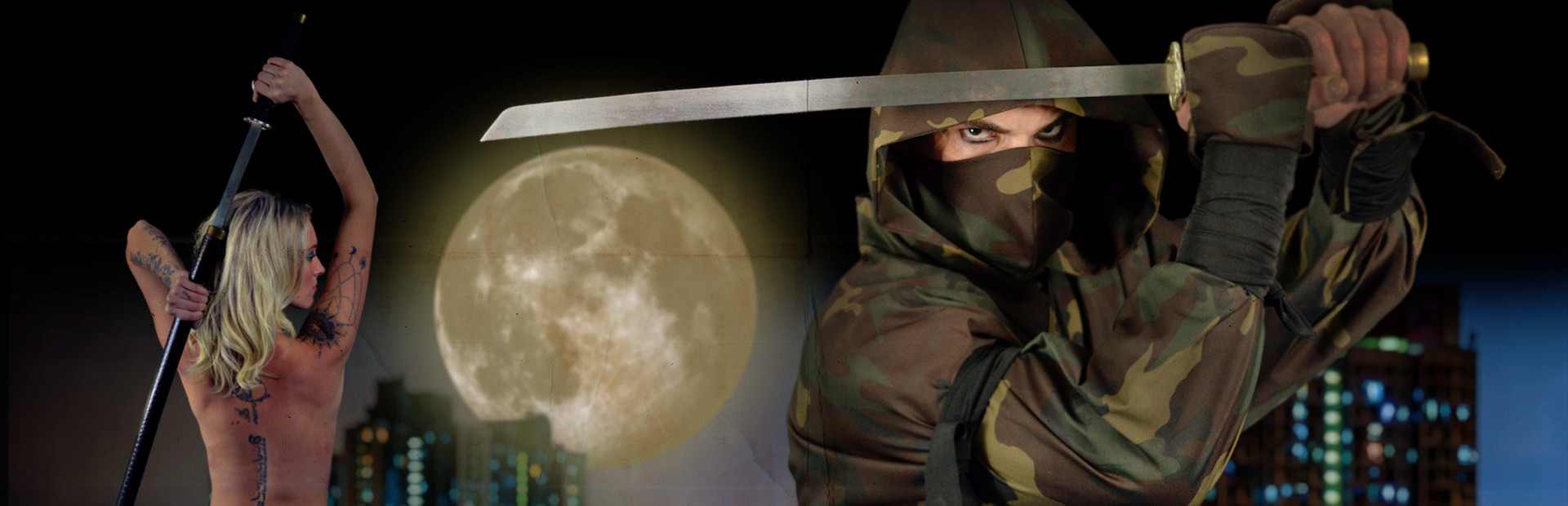 Ninja Specialist cover art