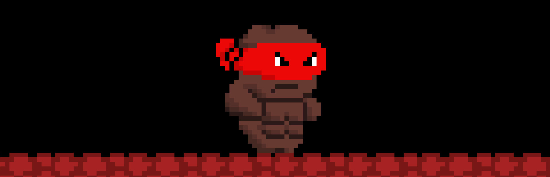 Ninja Turdle cover art